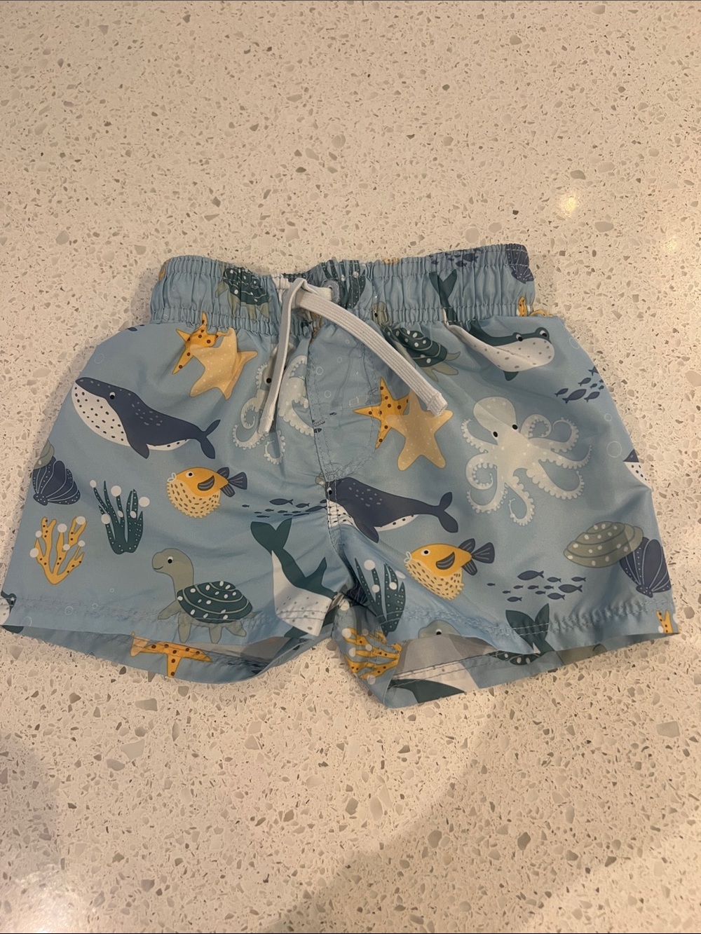 Light Blue baby Swim Shorts with Ocean Animal Print